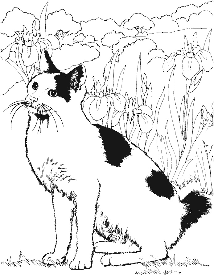 coloriage chat tachete dans le jardin
