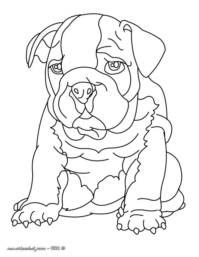 cute puppy bulldogs coloring pages printable sketch templates