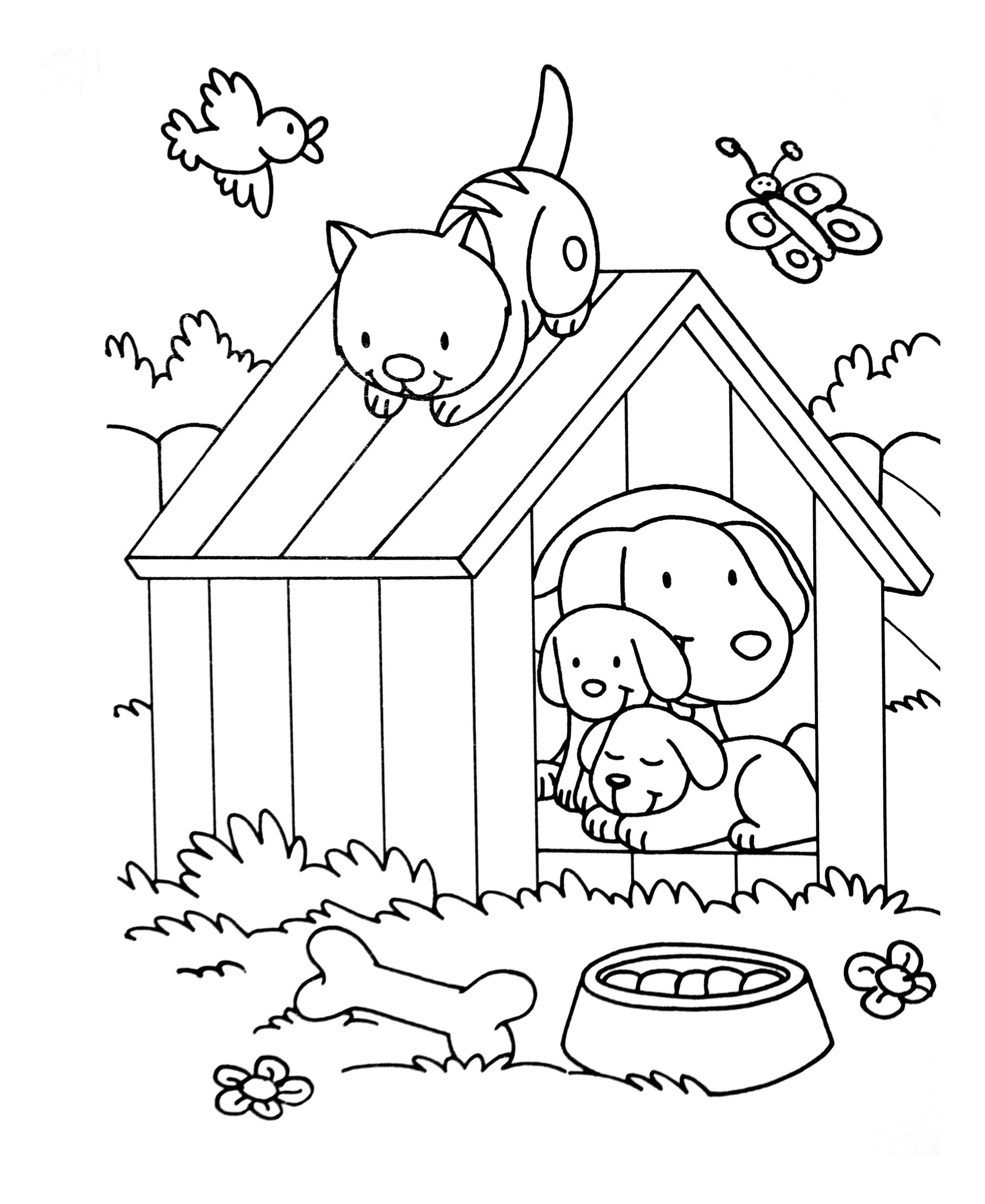 image=kids animals coloring dog cat bird 1