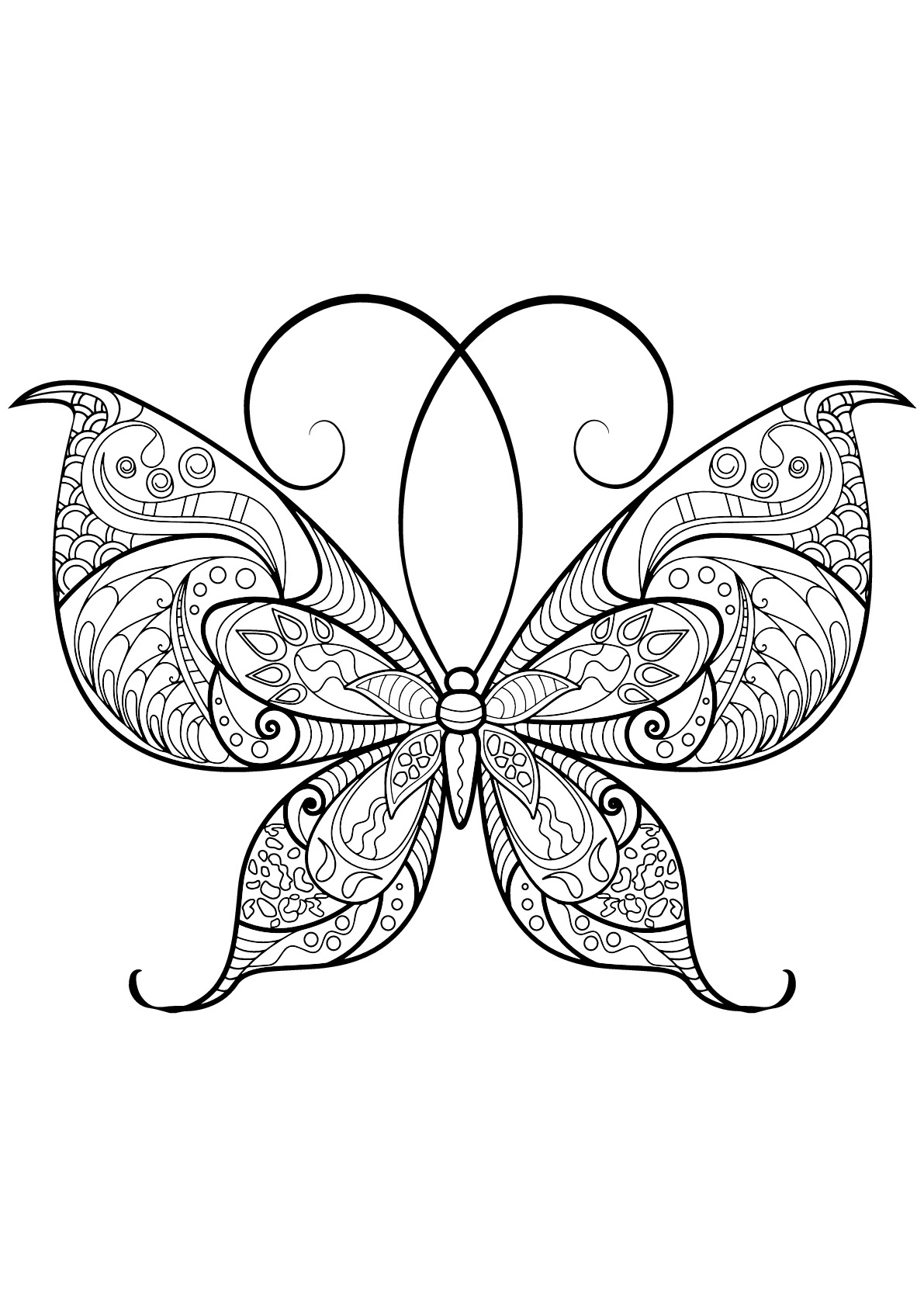 image=papillons coloriage papillon motifs 13 1