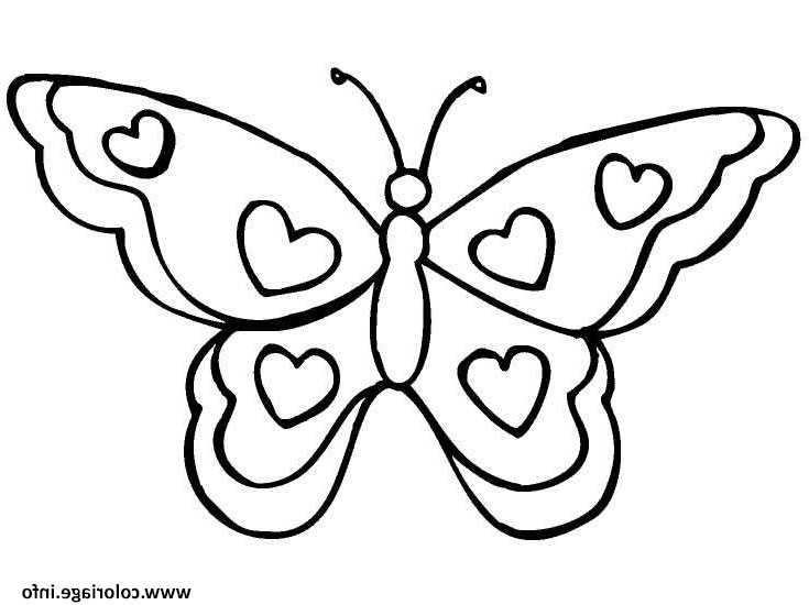 papillon vue de dessus 3 coloriage dessin