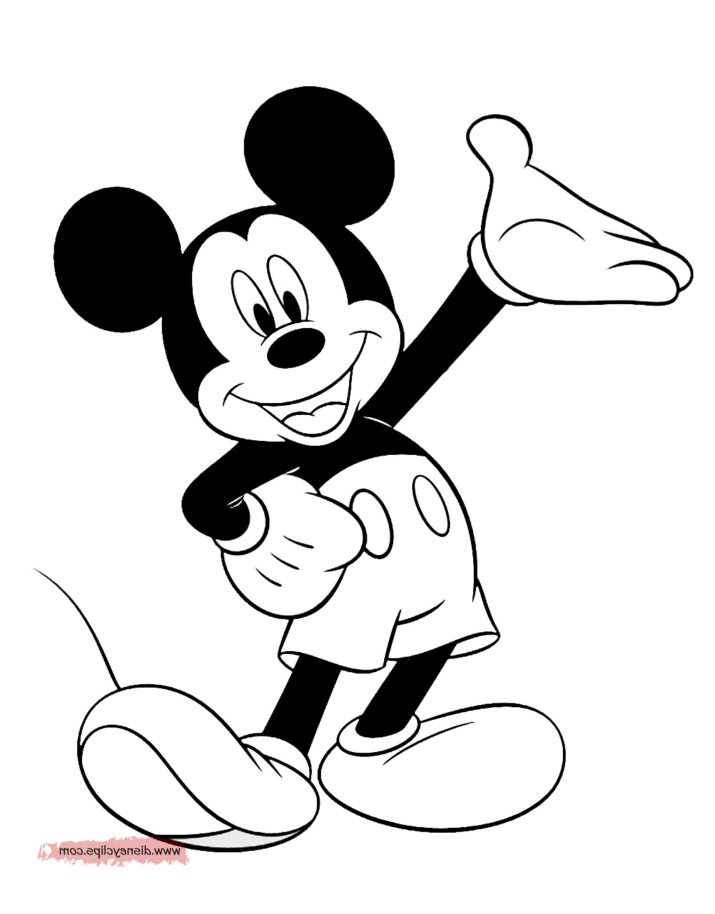mickeycolor14