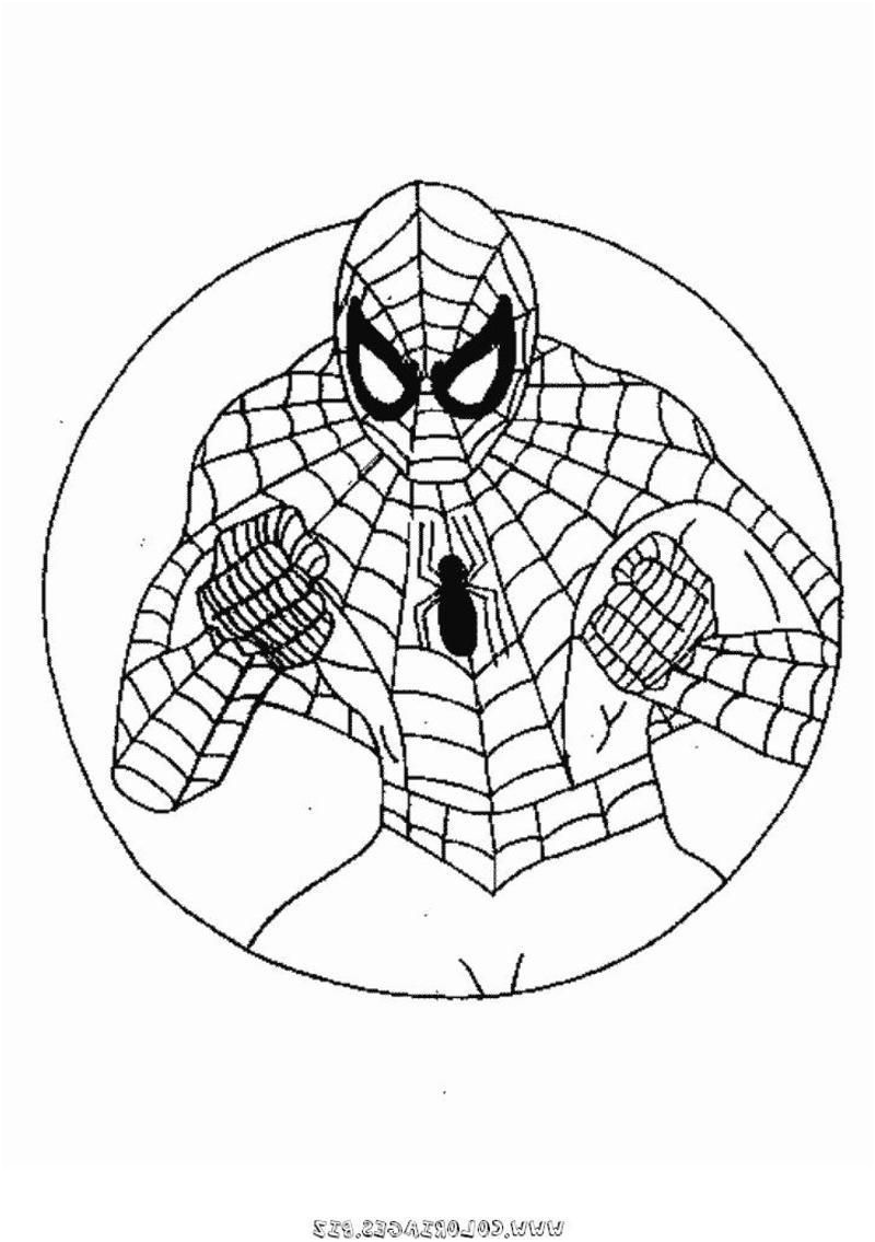 rub coloriage spiderman