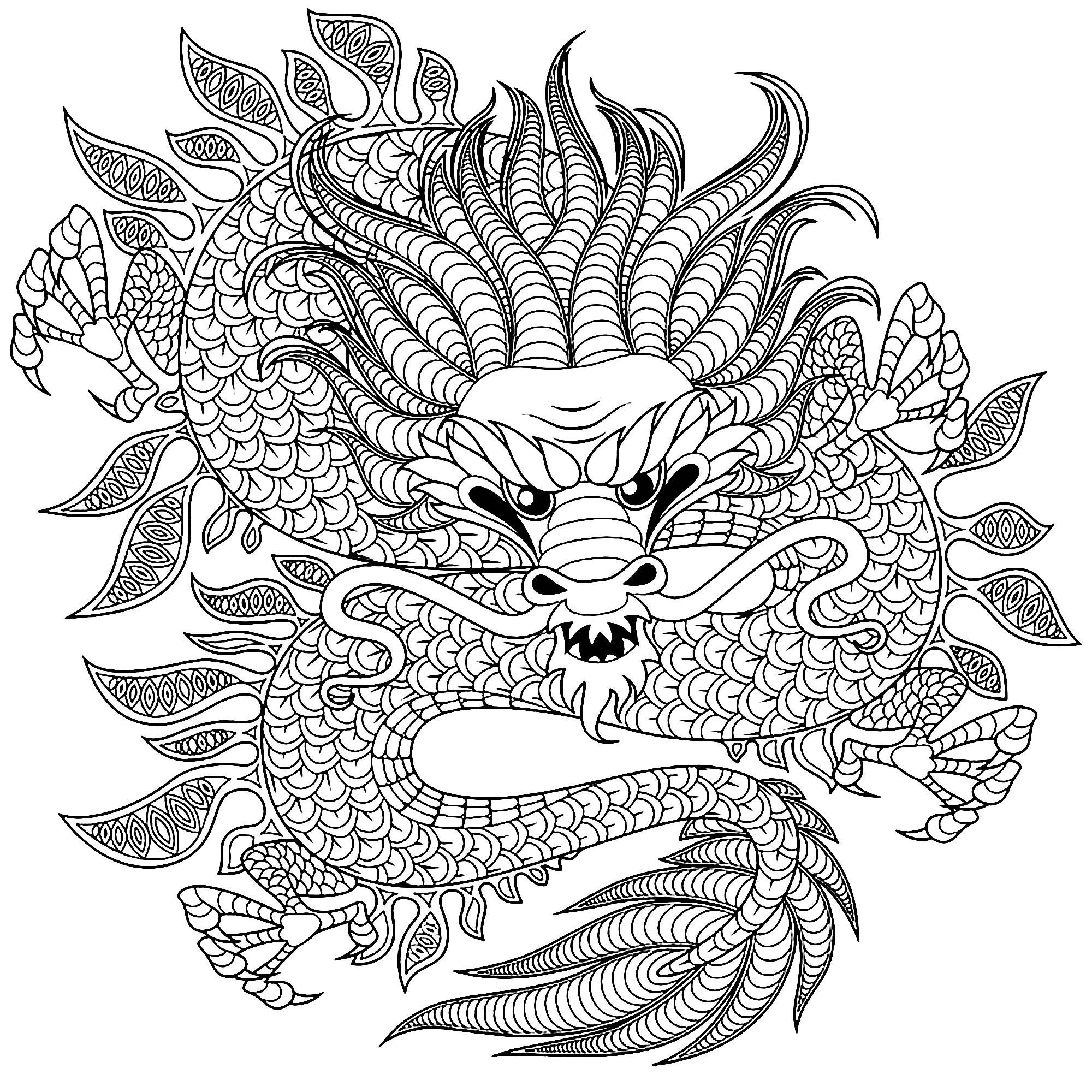 image=dragons coloriage dragon circulaire 1