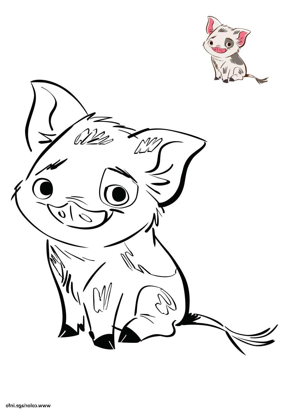 le petit cochon de vaiana disney coloriage dessin