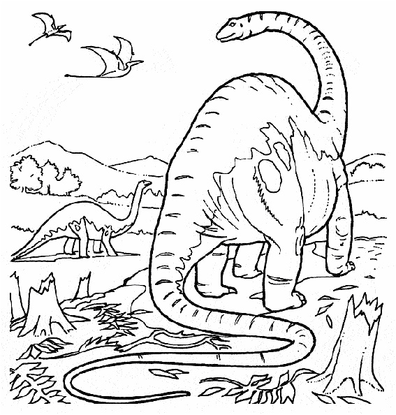 dessin dinosaure triceratops