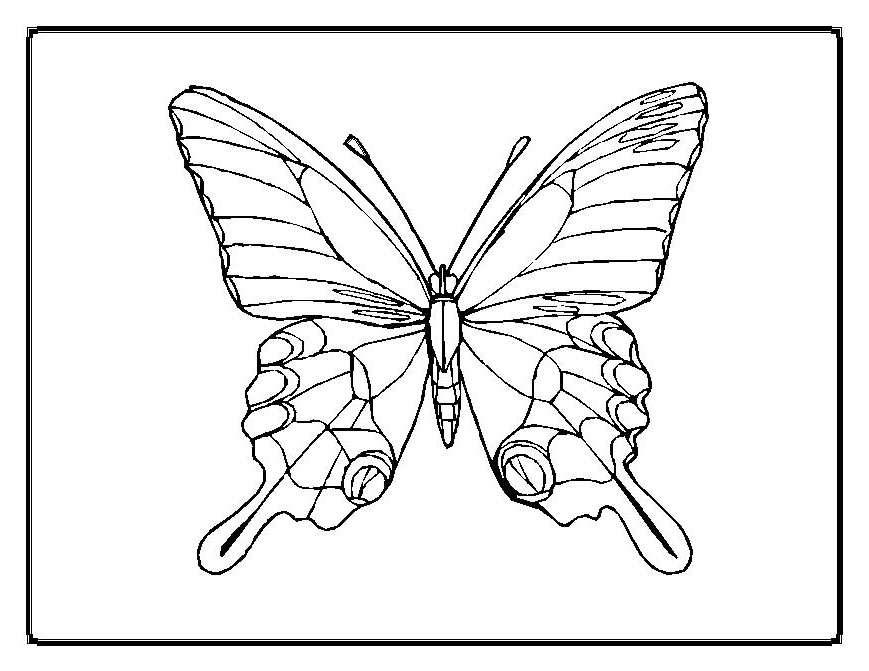 butterfly coloring page