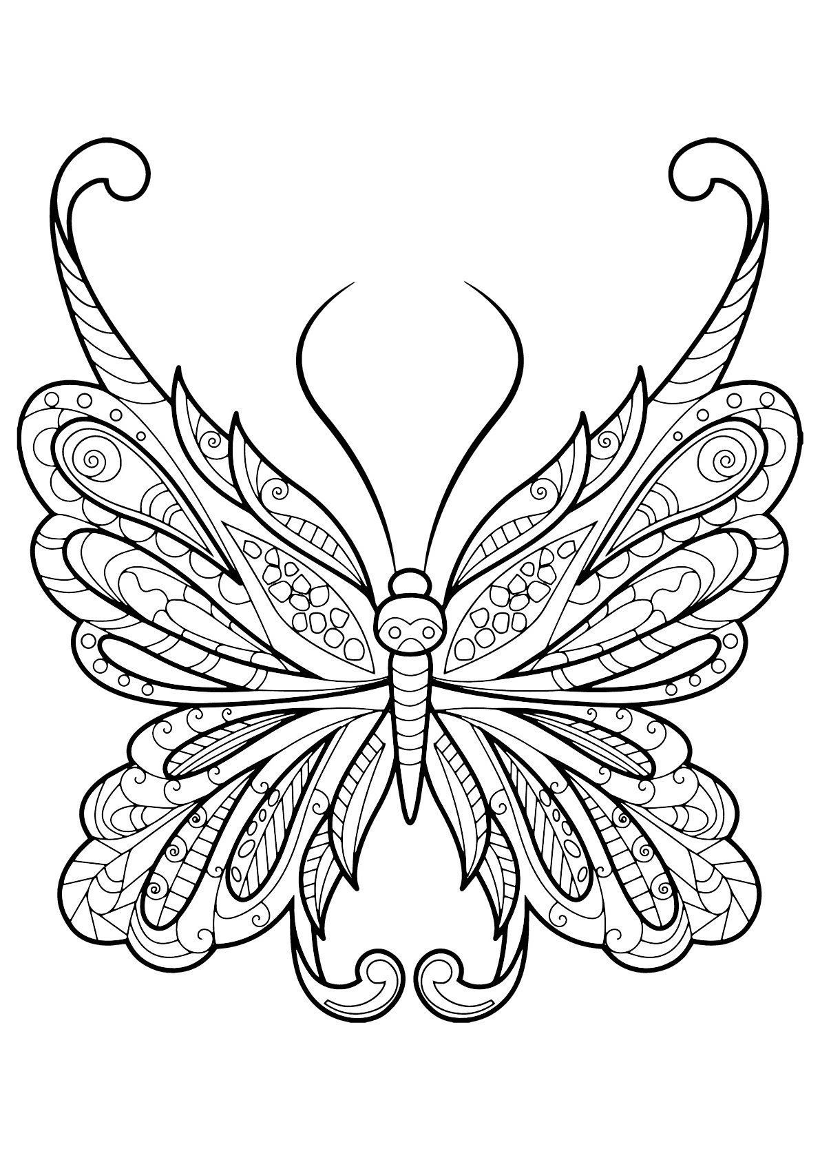 coloriage papillon imprimer adulte