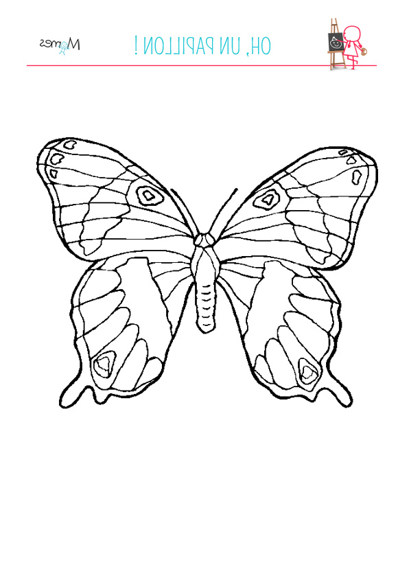 Coloriage papillon2