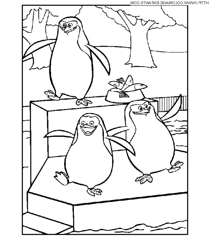 dessin pingouin de noel