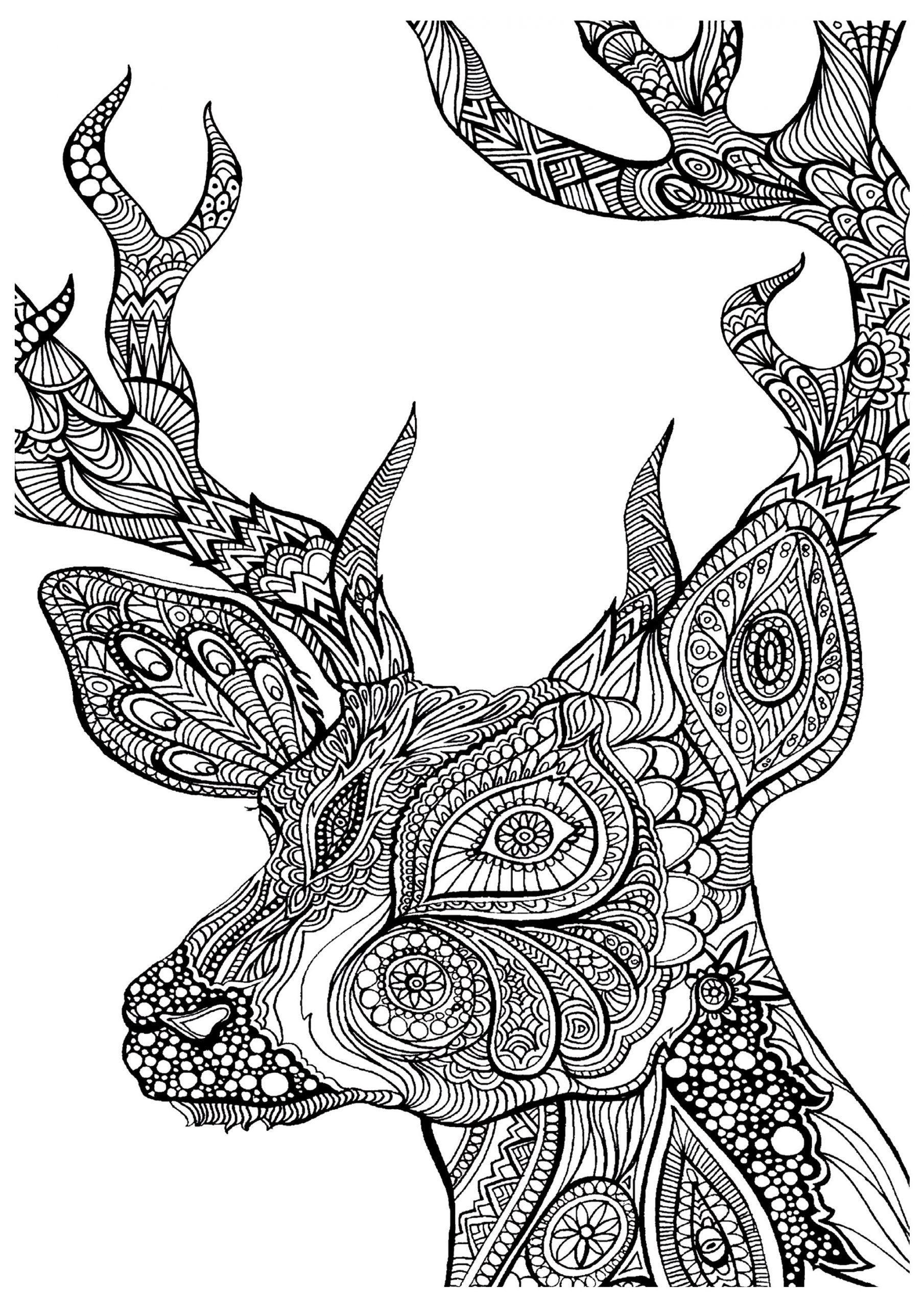 image=animaux coloriage difficile cerf zoom 1