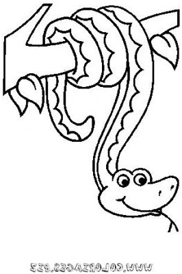 dessins coloriages mechants serpents