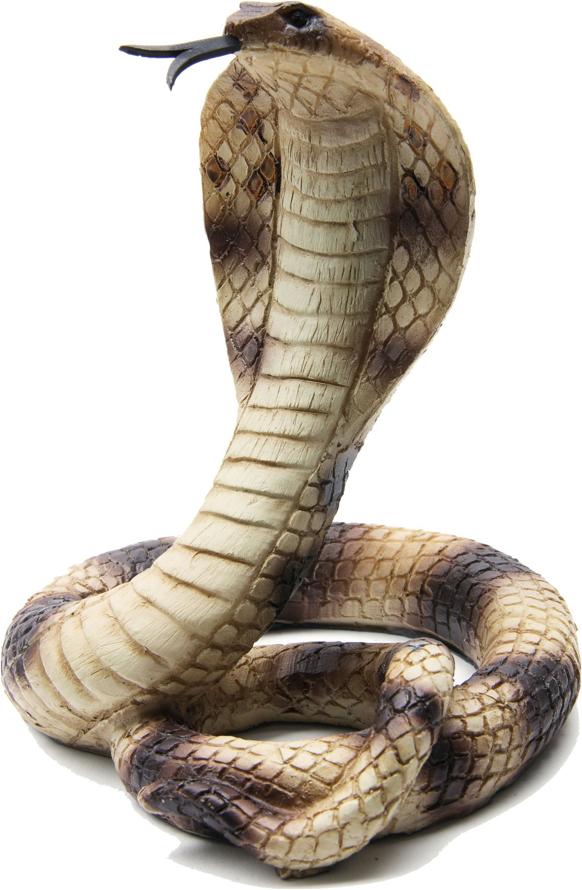 96 inspirant de serpent anaconda