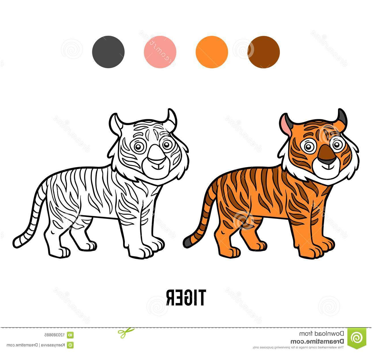 coloriage tigre