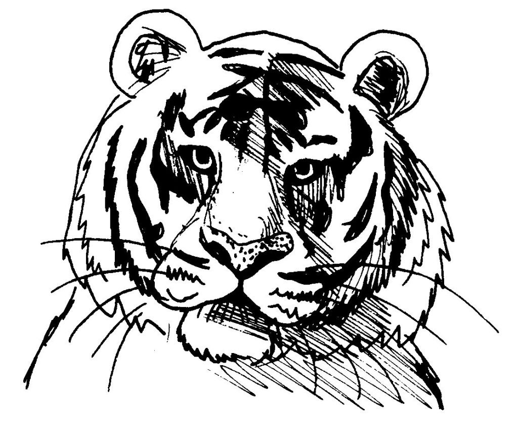 dessin a colorier masque tigre