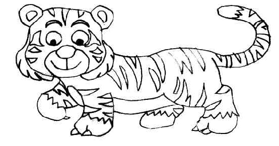 dessin d un tigre imprimer