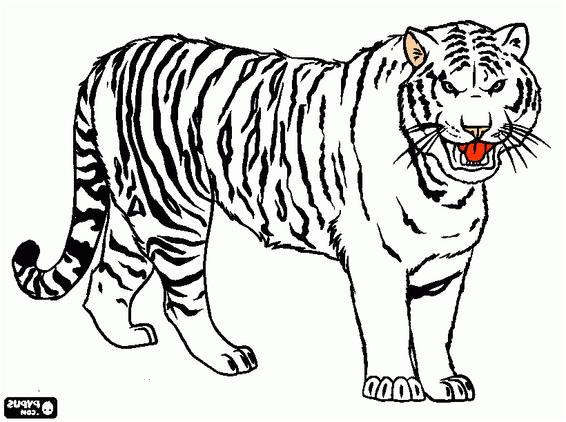 coloriage de tigre sur ordinateur