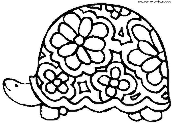coloriage tortues p4696