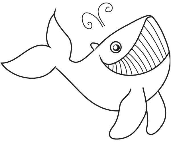coloring whale