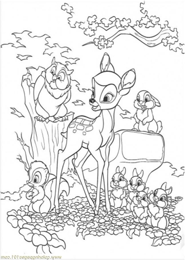 4820 bambi owl thumper and flower coloring page