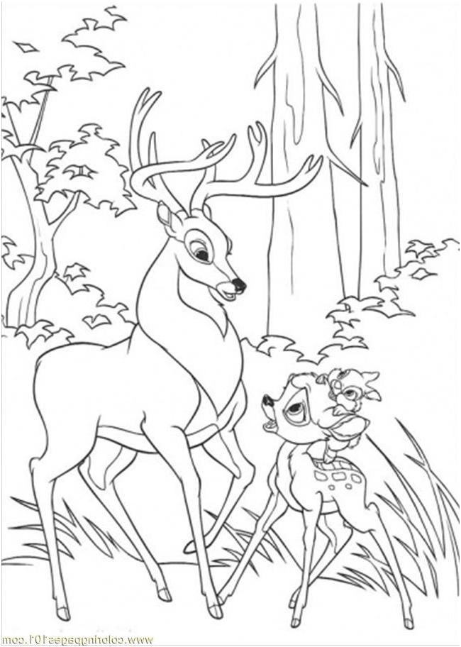4822 bambi thumper and roe coloring page