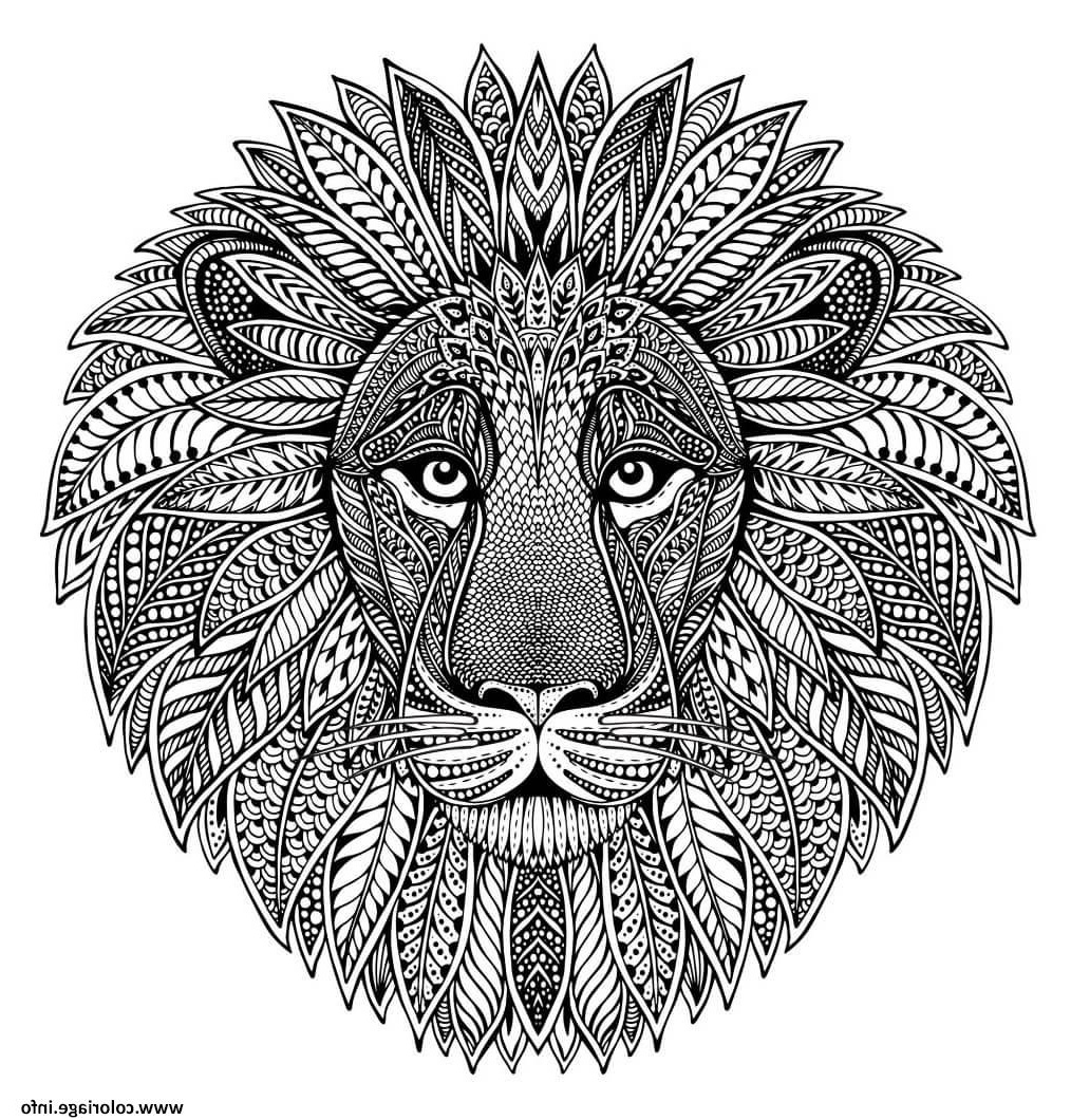 mandala animaux adulte tete de lion coloriage
