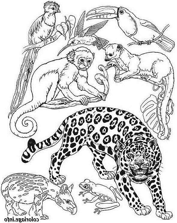 un guepard avec les animaux de la jungle coloriage