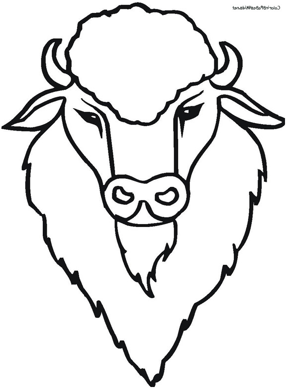 dessin bison a imprimer 4165