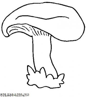 dessiner un champignon