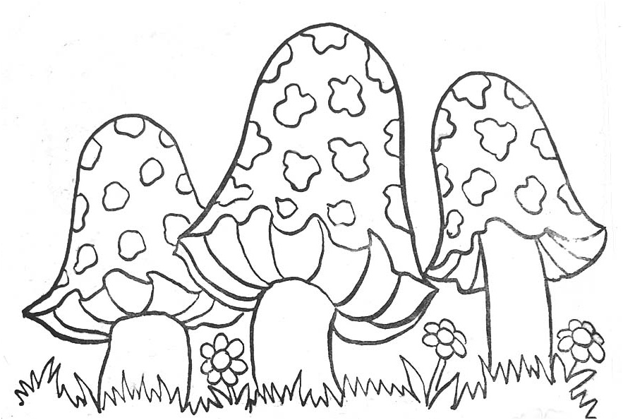 image=mushrooms Coloring for kids mushrooms 1