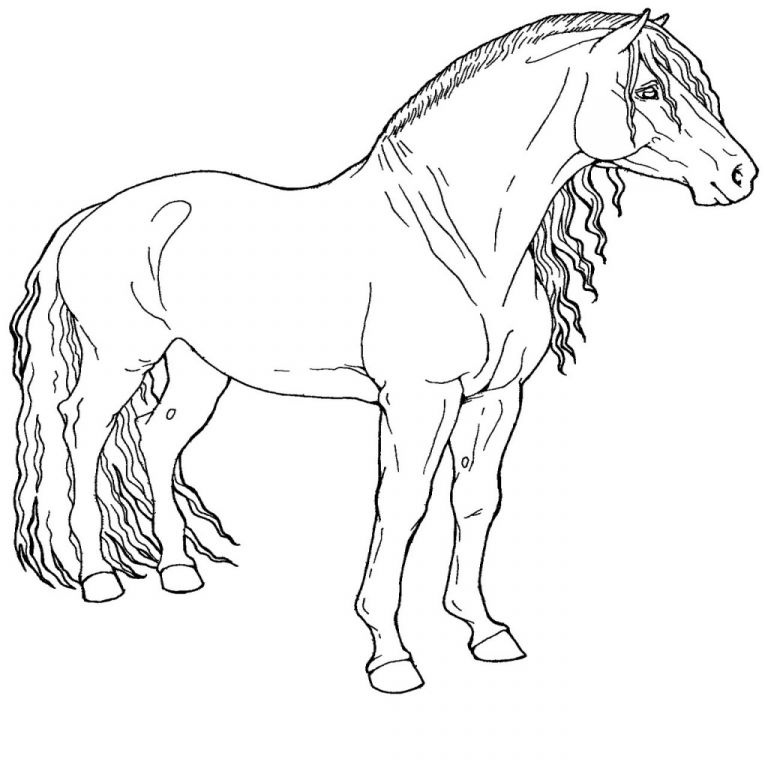 dessin a imprimer cheval beau images coloriage imprimer gratuit cheval coloriage chevaux et