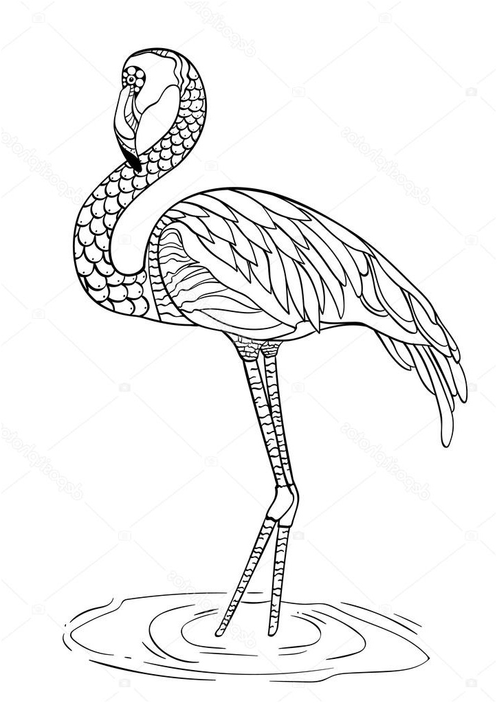 stock illustration coloring book for adults flamingo