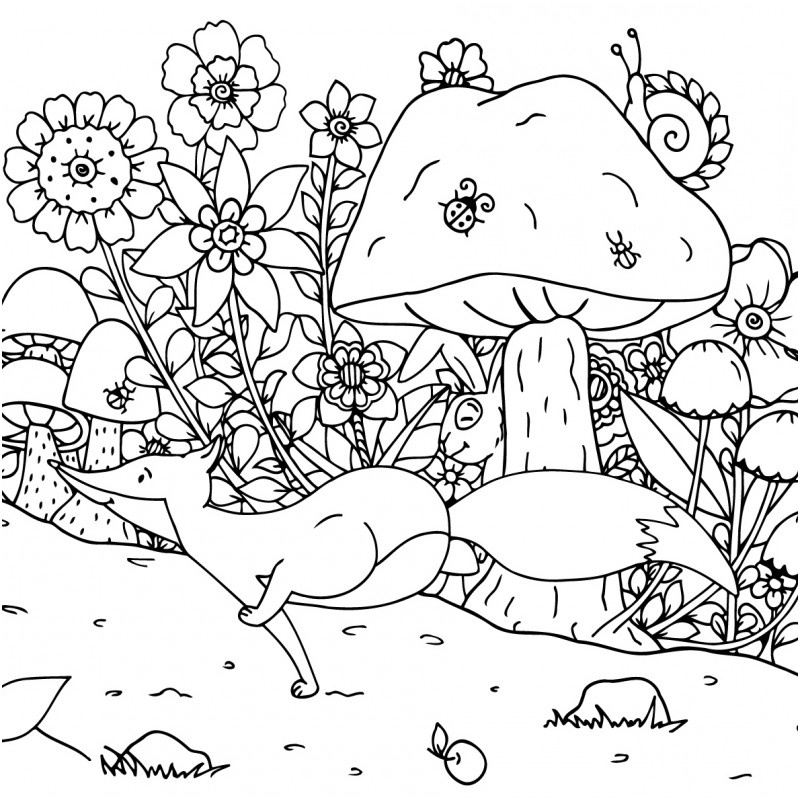 coloriage animaux foret campagne