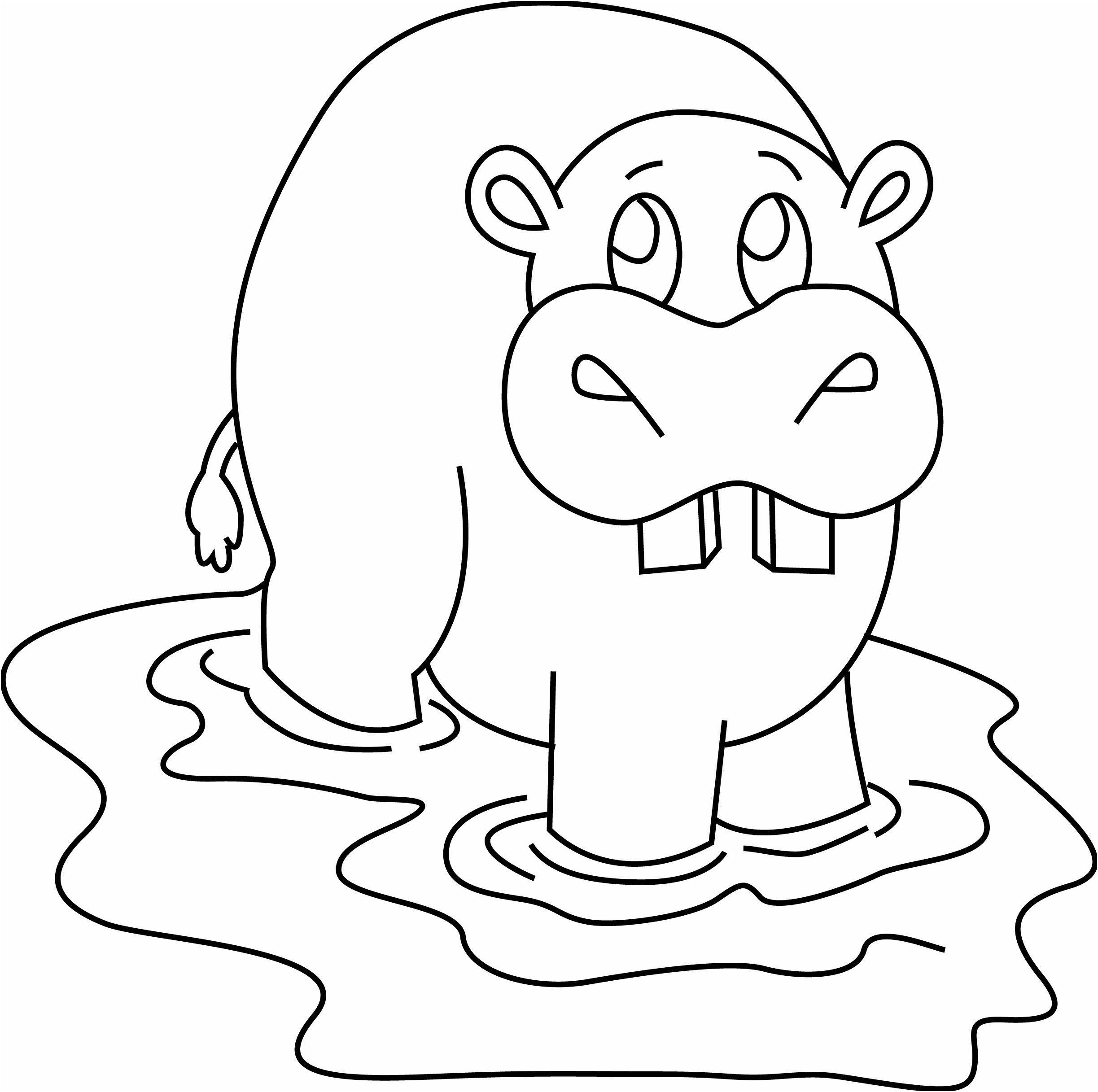 Hippopotame 07