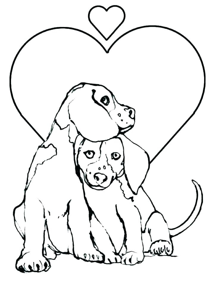 baby husky coloring pages