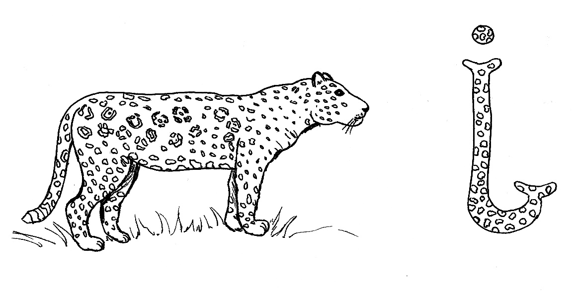 dessin de jaguar 4