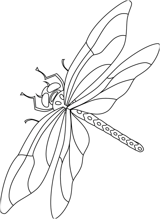 coloriage a dessiner a imprimer libellule
