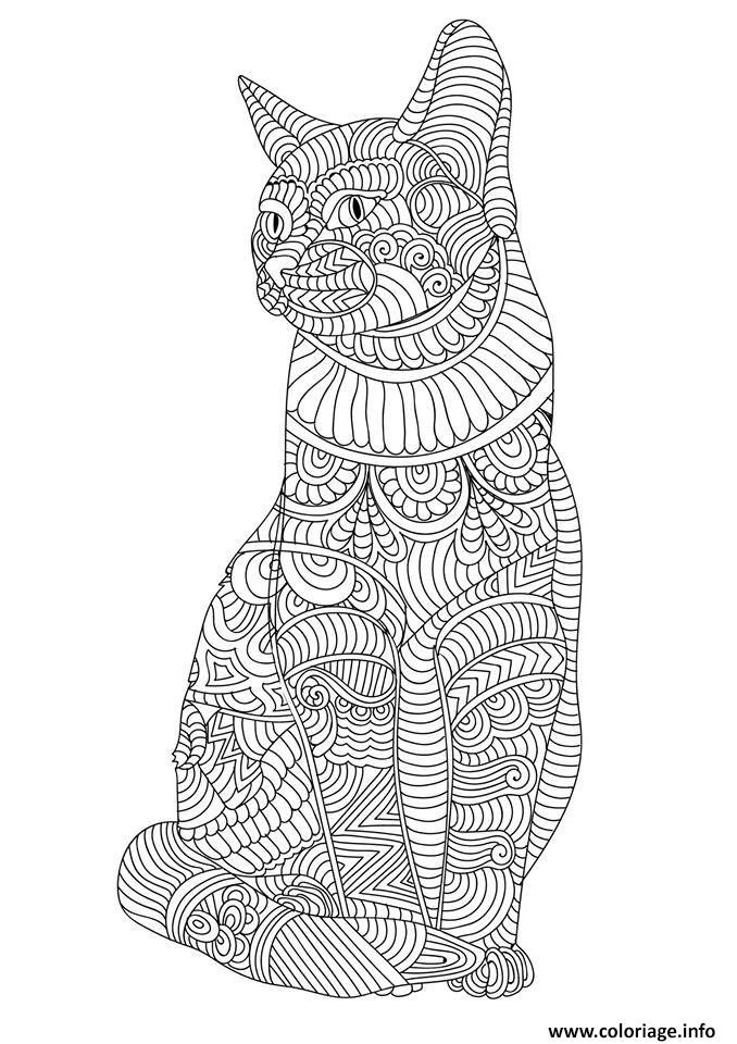coloriage mandala chaton beau photographie coloriage chat mandala adulte cute dessin