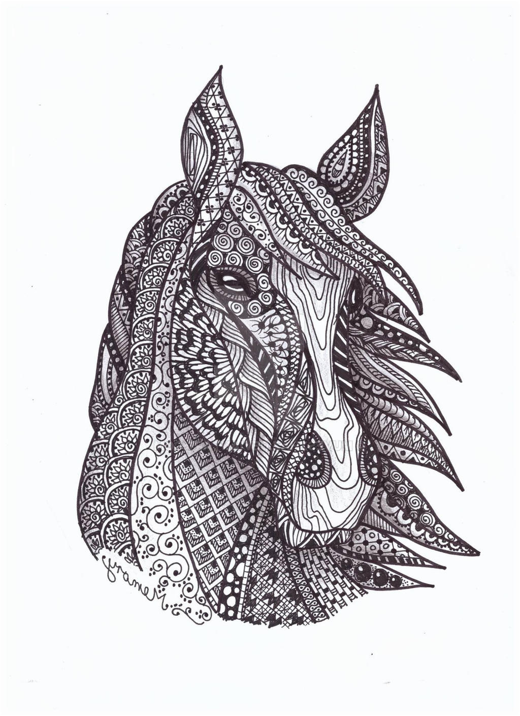 Zentangle horse by Inhoff Anita