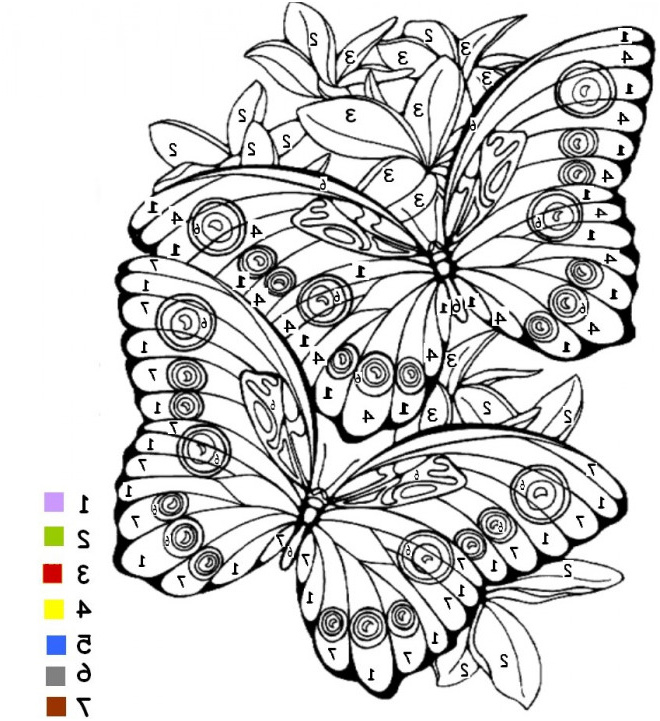 coloriage de papillon a imprimer gratuit