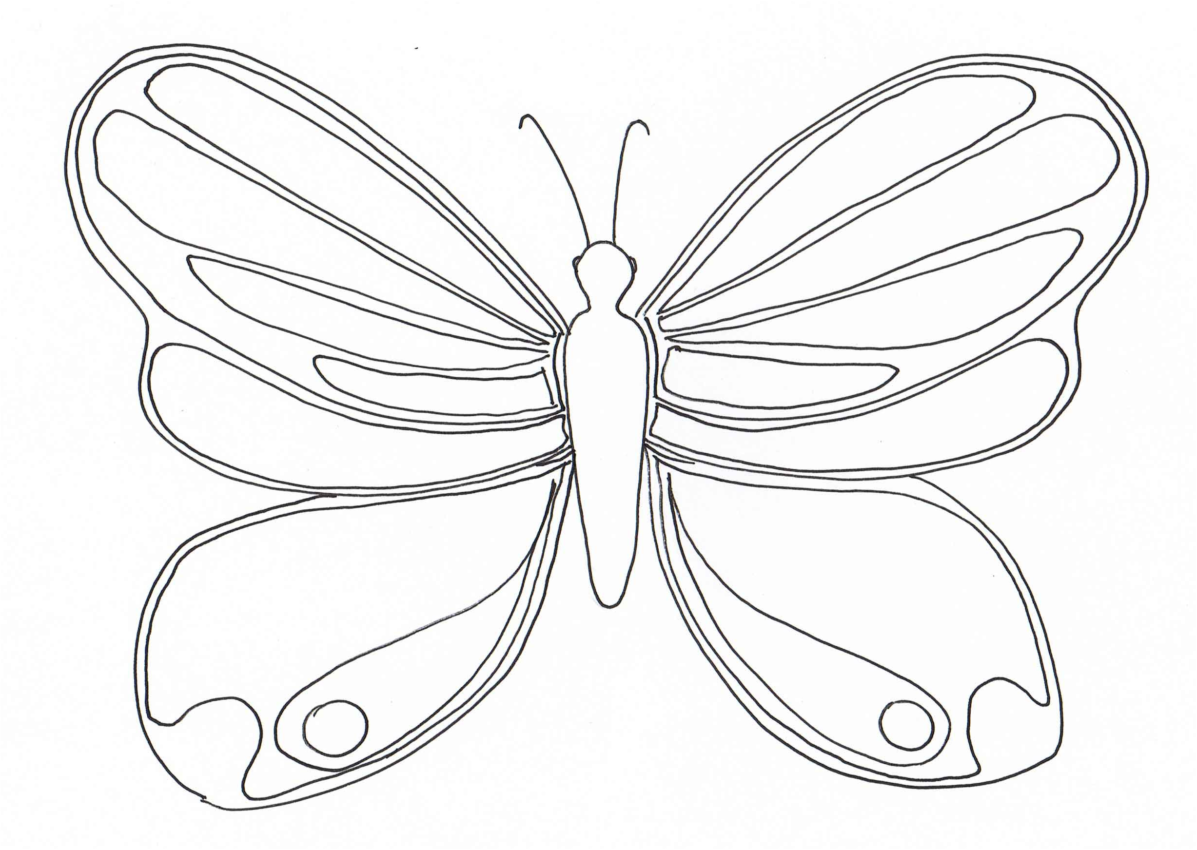 dessin un papillon