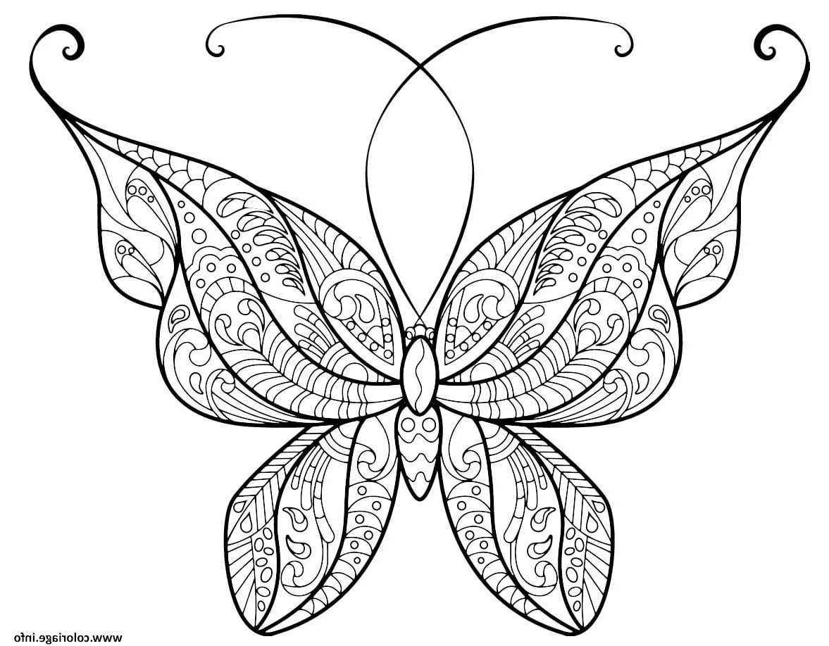 papillon adulte jolis motifs 14 coloriage