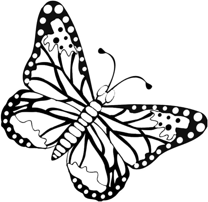 coloriage a imprimer papillons