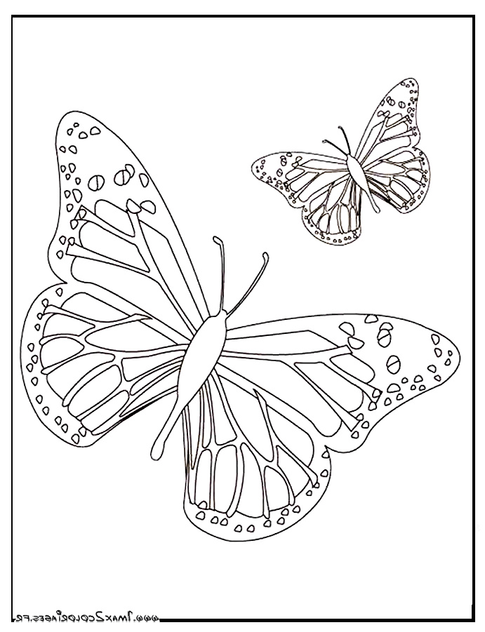 papillon dessin coloriage