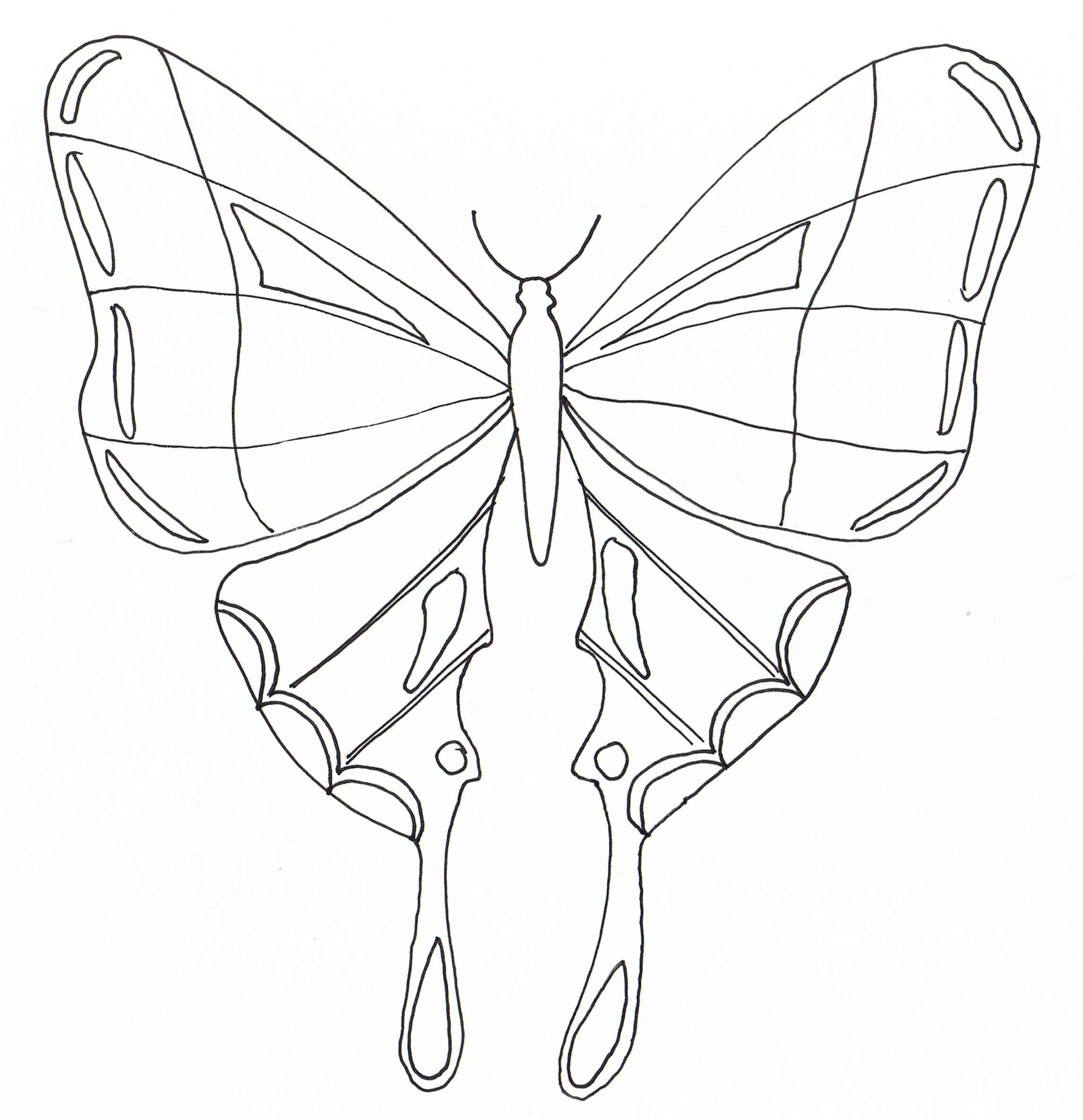 dessin papillon a imprimer