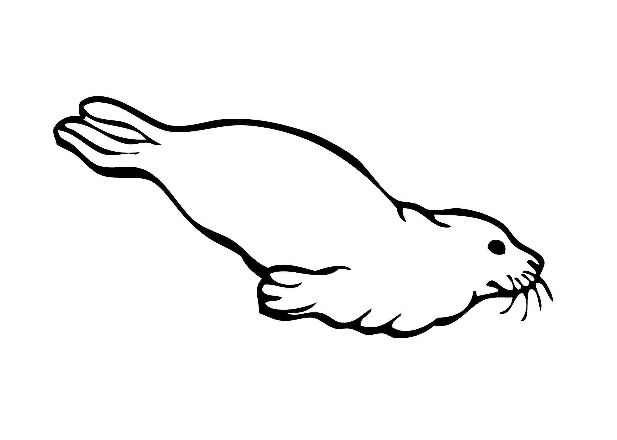 baby seal coloring pages