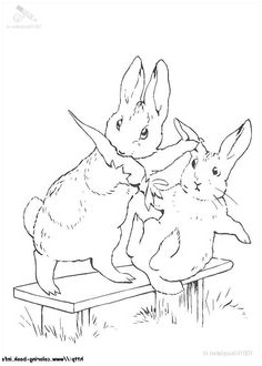 coloriages pierre lapin