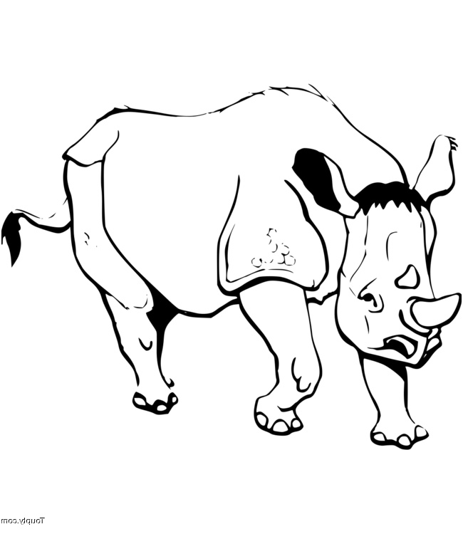 coloriage rhinoceros num=28