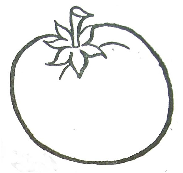 dessin tomates imprimer
