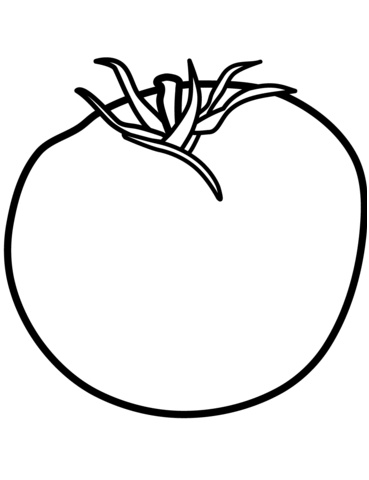 tomato fruit coloring pages sketch templates